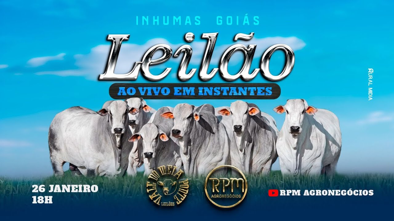 VALE DO MEIA PONTE LEILÕES - INHUMAS - LEILÃO VIRTUAL E PRESENCIAL - 26 DE JANEIRO DE 2026.