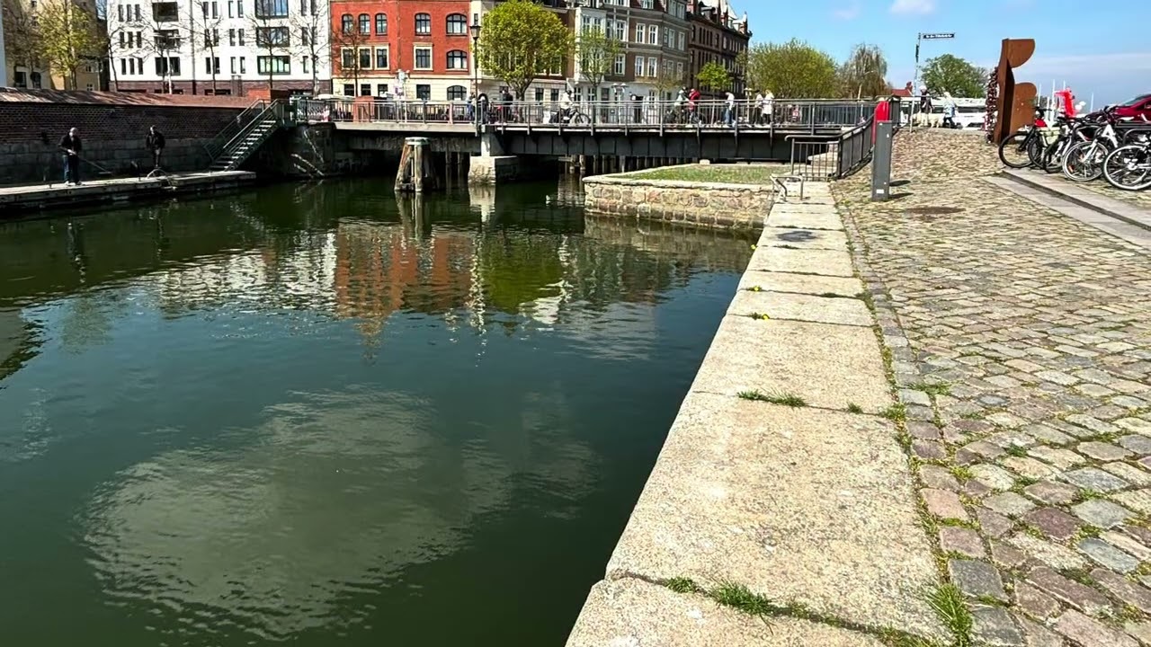 Almanya Stralsund şehrinde neler yaptık