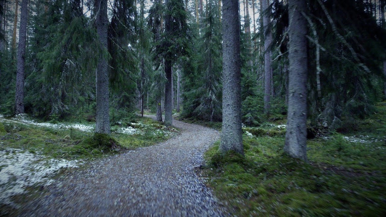 Peukalolammin esteetön reitti / Liesjärven kansallispuisto / LÄPIKÄVELY