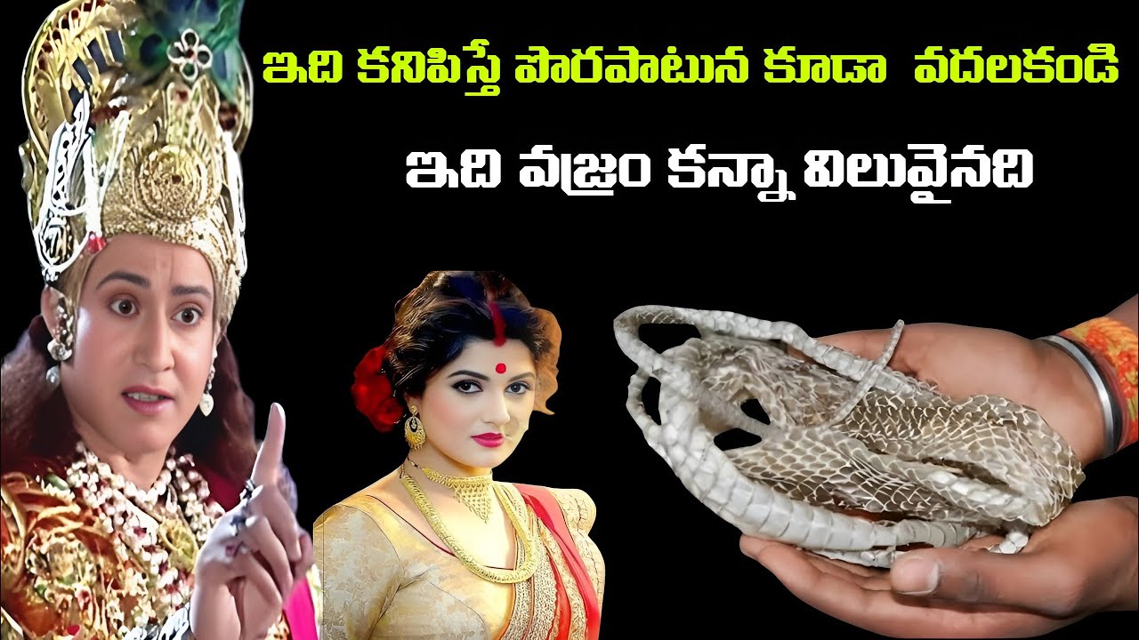 ఇది కనిపిస్తే పొరపాటున కూడా  వదలకండి | ఇది వజ్రం కన్నా విలువైనది | Be A Thinkers