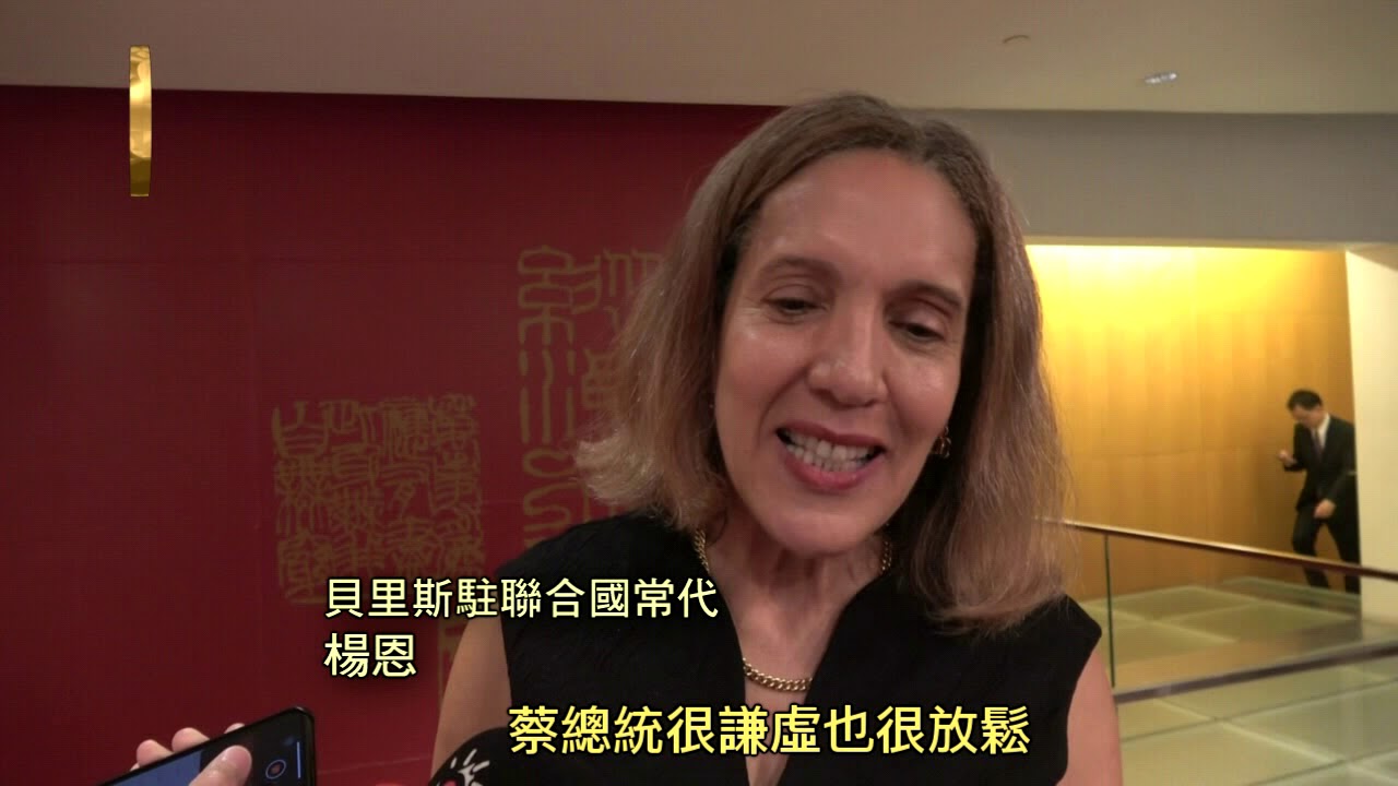 與總統會面 17友邦挺台國際參與