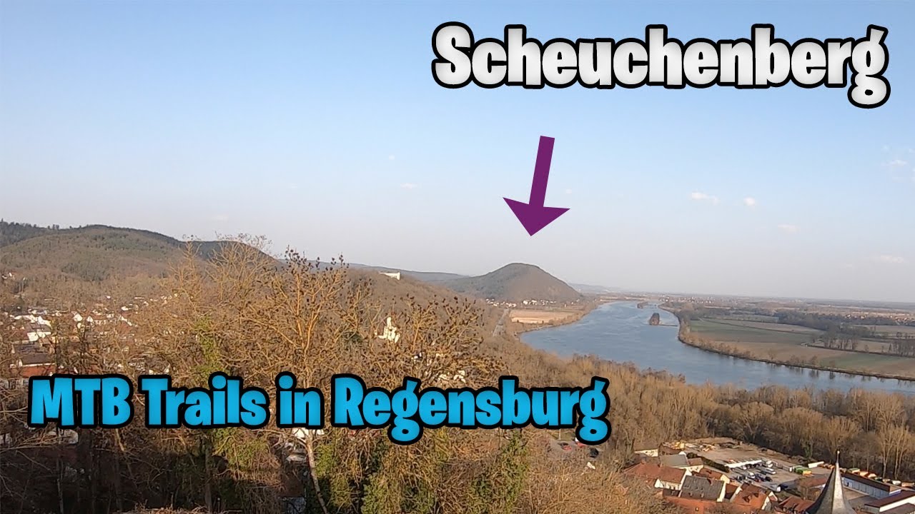 Scheuchenberg Trail //MTB Regensburg// Bergkamm// Aufstieg und Abstieg mega geil!