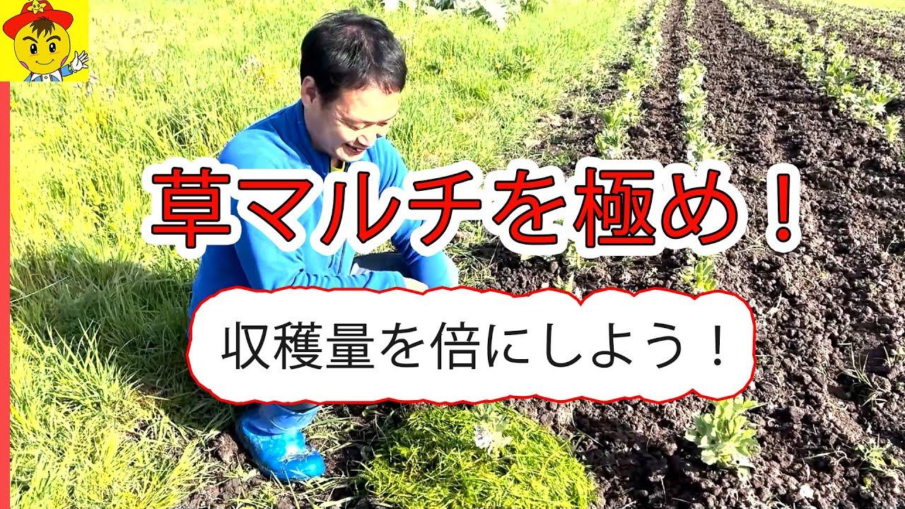 【自然栽培140】草マルチを極め、収穫量を倍増！草マルチの利点４つ！言えるかな？