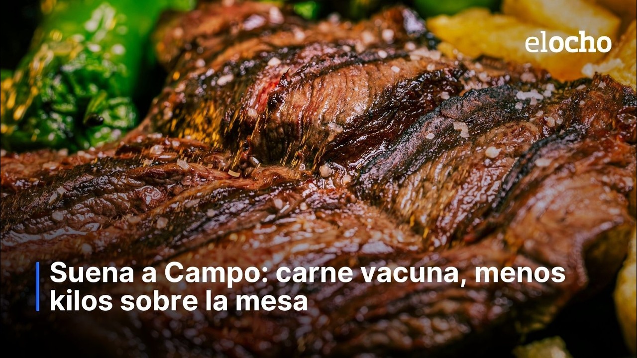 CARNE VACUNA, MENOS KILOS SOBRE LA MESA