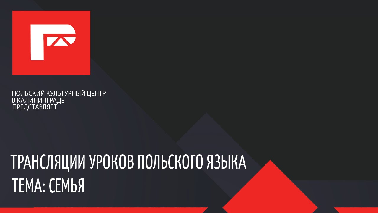 Трансляция урока польского языка (семья)