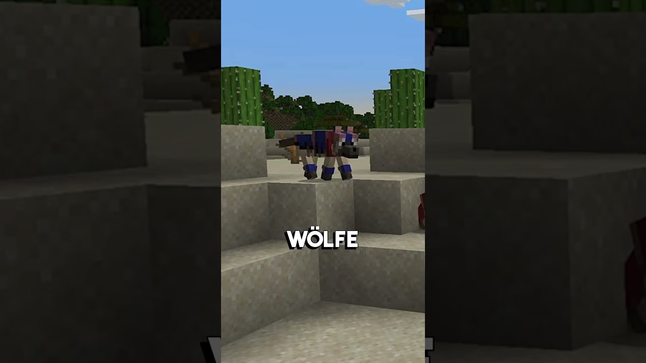 Welche Hunderasse h&auml;ttet ihr gern in Minecraft? #minecraft #hunde #dogsontiktok #gaming #pc #mojang
