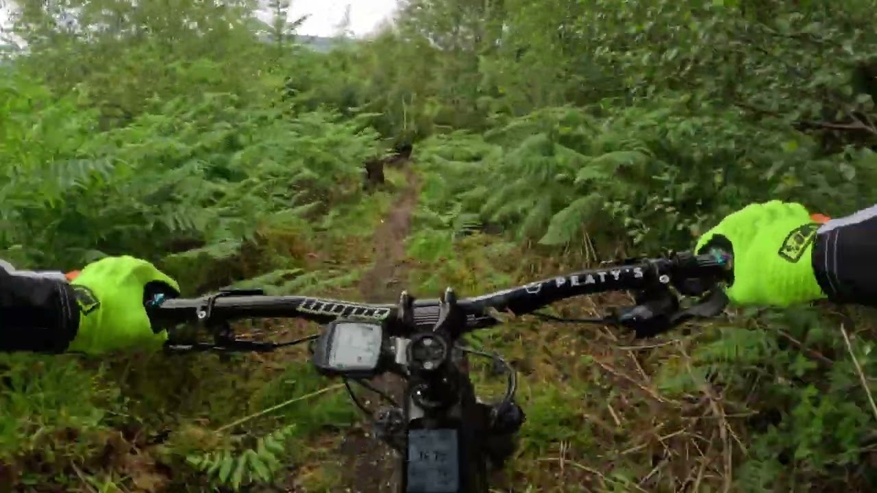 Isle of Arran   Tom's Trail
