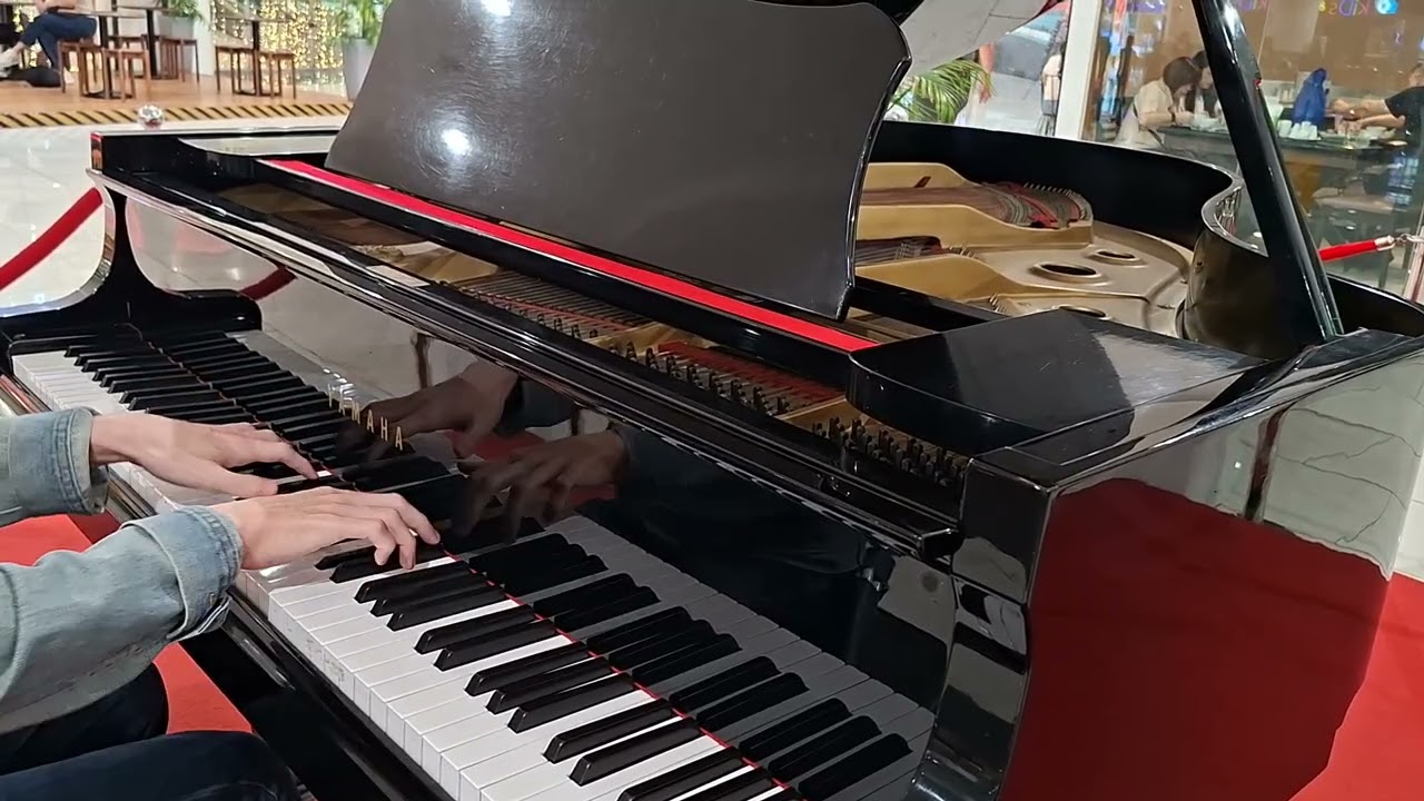 Liszt- Liebestraume No. 3 On A Public Piano