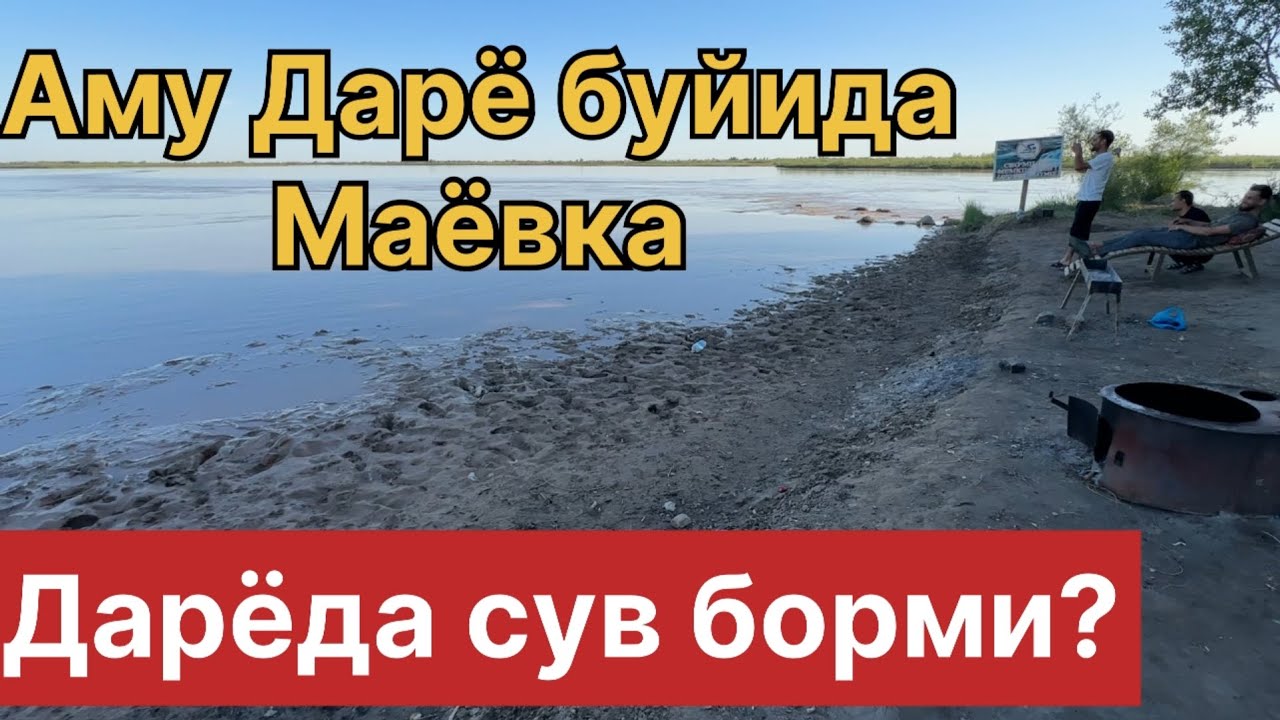 ДАРЁ БУЙИДАГИ МАЁВКАДА НИМАЛАР БУЛДИ?