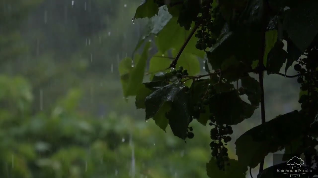 Heavy Rain Sounds for Deep Sleep 🌧️ | Relaxing Rain for Insomnia