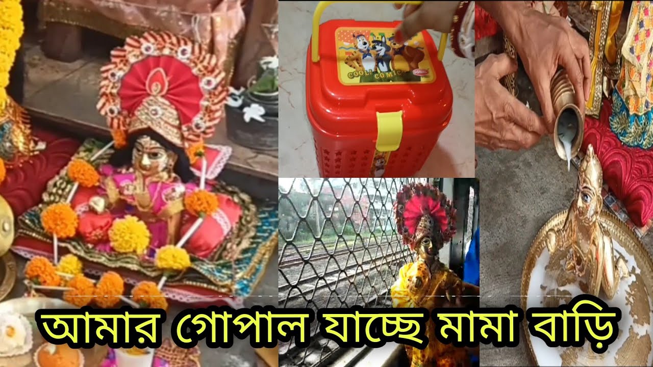 ভাই ফোটাতে গোপাল সোনা প্রথম ট্রেনে করে মামা বাড়ি যাচ্ছে || Laddu Gopal Outing
