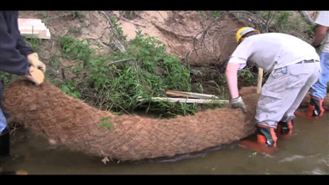 How to Restore Your Shore with Coir Logs