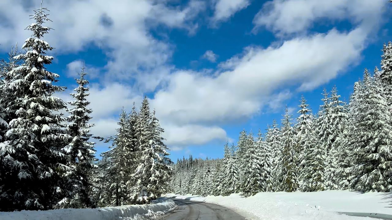 Peaceful Winter Drive | 4k Scenic Snowy Mountain Road and Chill Ambient Music