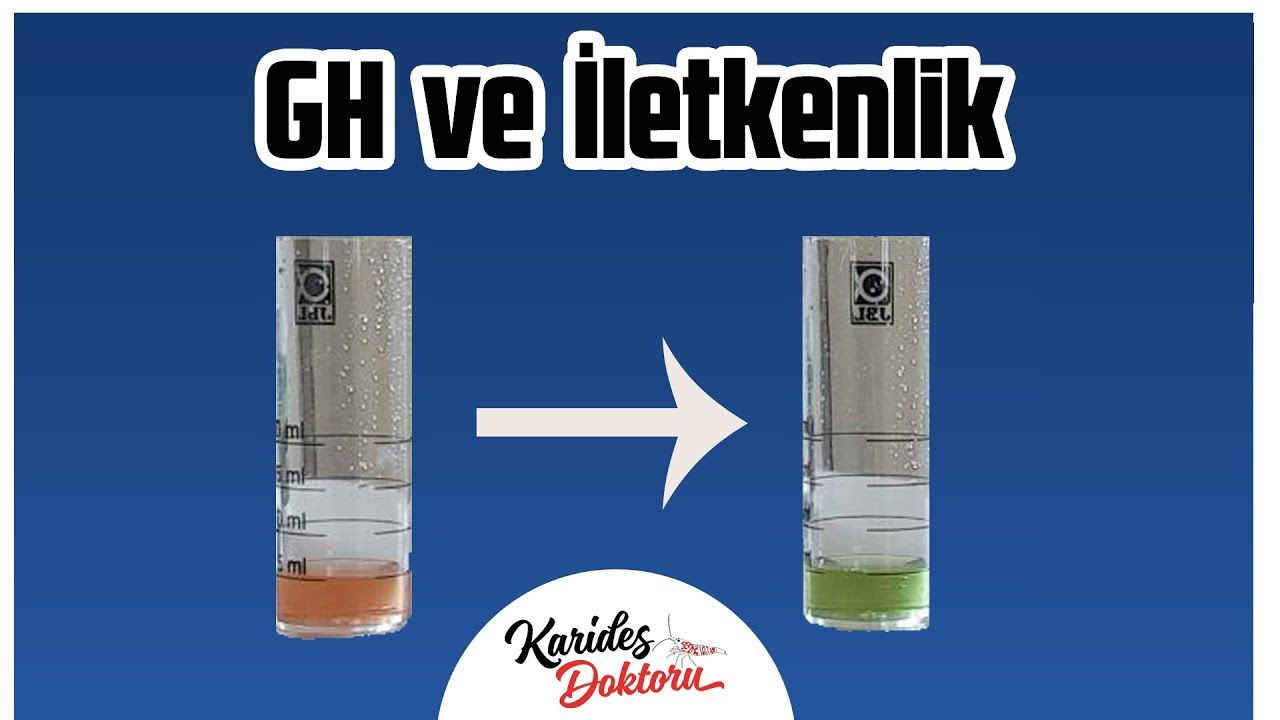 Karides akvaryumlarında GH ve İletkenlik