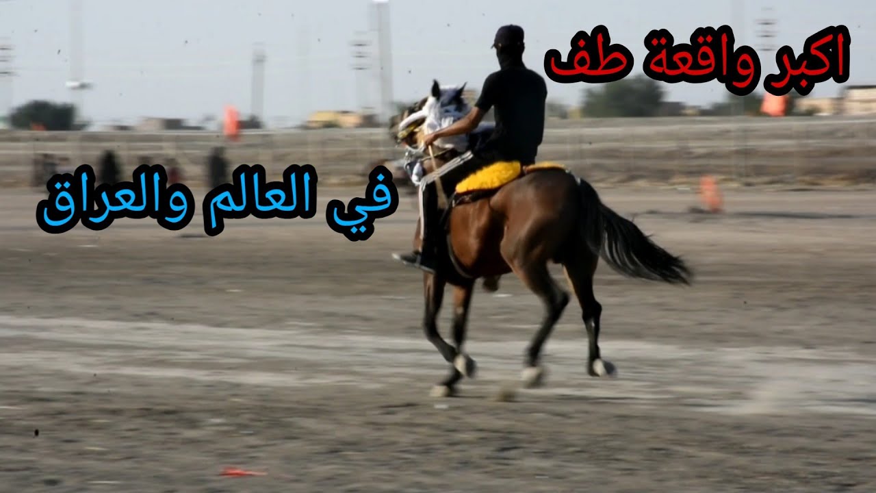 تدريب وتجهيز موكب شهيد الجمعه الى اكبر واقعة الطف في العالم/ناصريه سوق الشيوخ