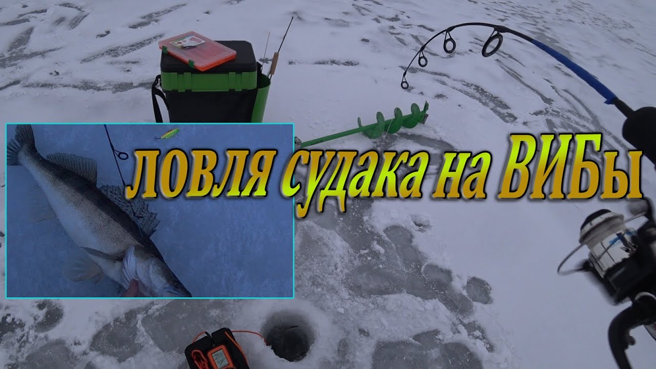 Ловля судака, на ВИБы, зимой! Как ловить судака с эхолотом - практик 6М! Рыбалка в конце декабря!