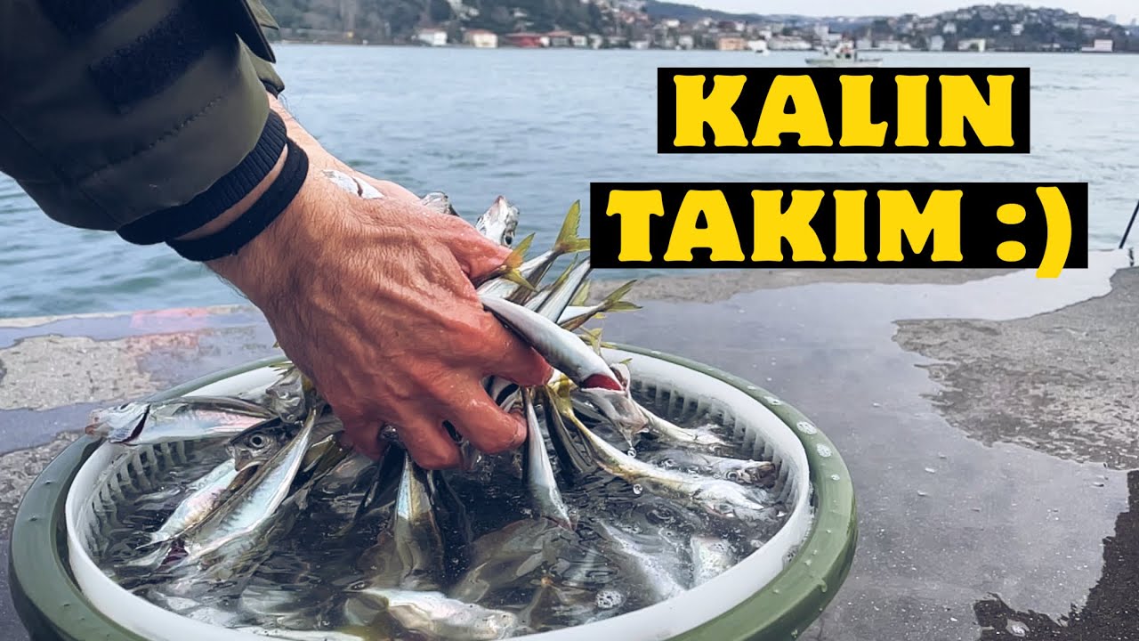 KALIN TAKIM ile KANALDAN Kova Dolusu İstavrit Avı