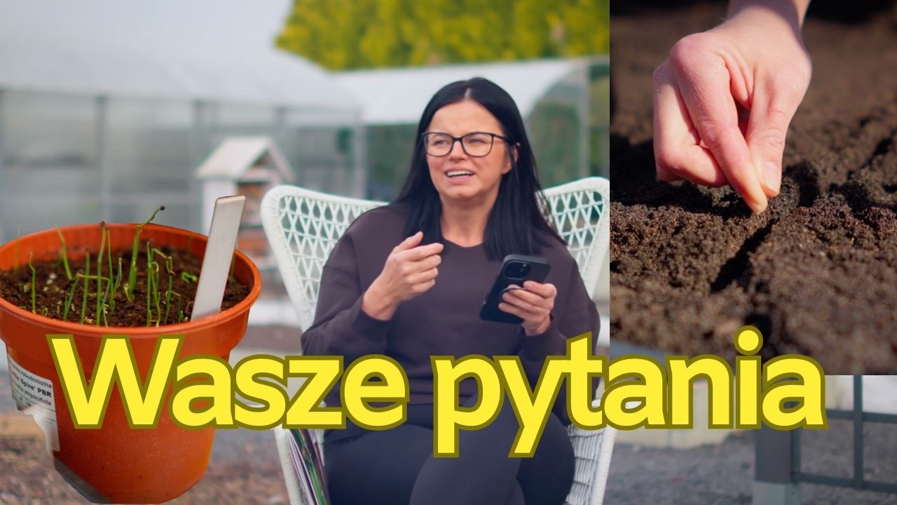 ODPOWIADAM NA WASZE PYTANIA