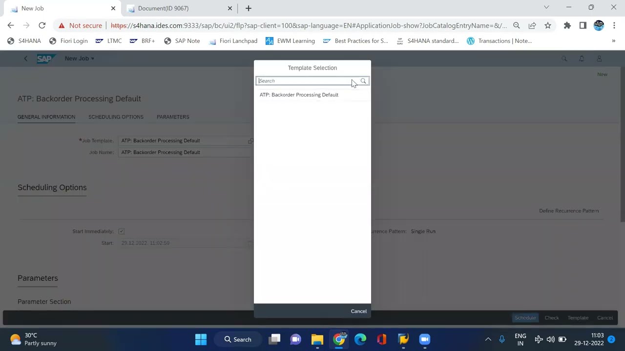 Schedule the Batch Job in Fiori by using (Application Job) App in SAP S4 HANA