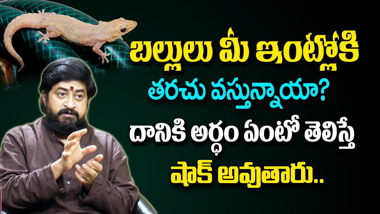 బల్లులు మీ ఇంట్లోకి తరచు వస్తున్నాయా? | Lizards At Home | Sudheer Sharma |