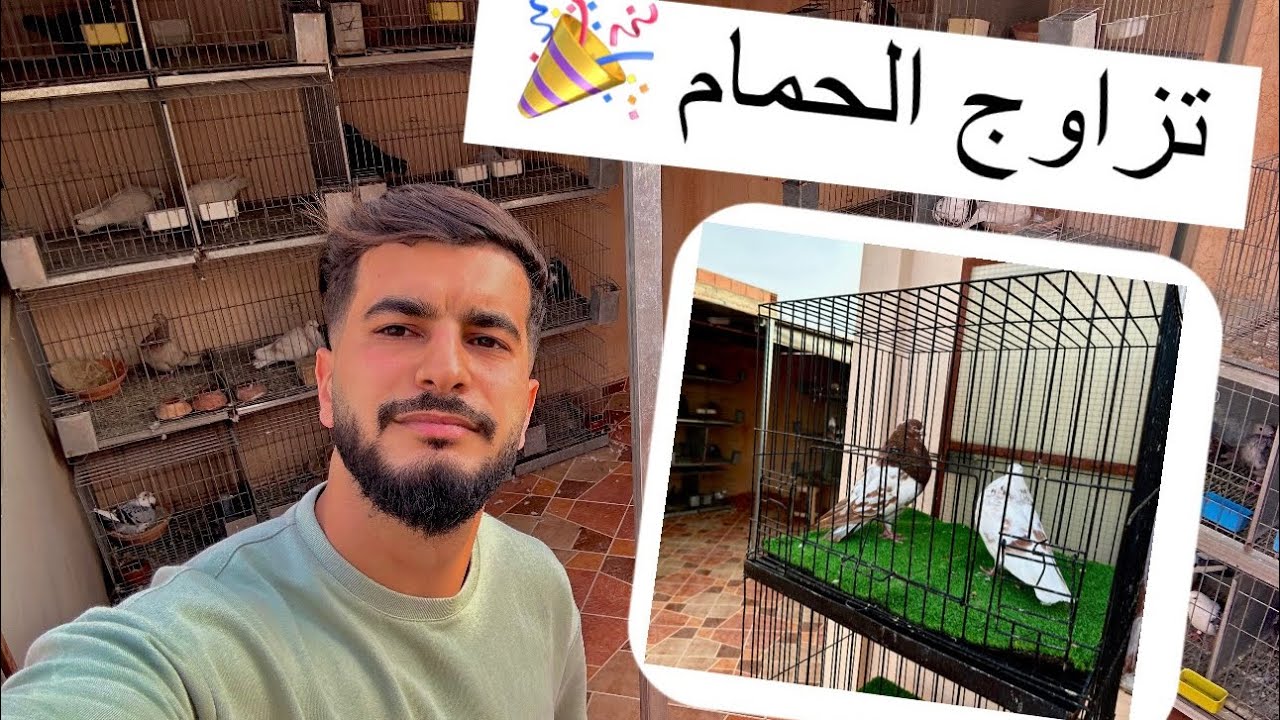 زوجة ذكر الجديد 🎉 و طريقة كانت ساهلة 😍💥