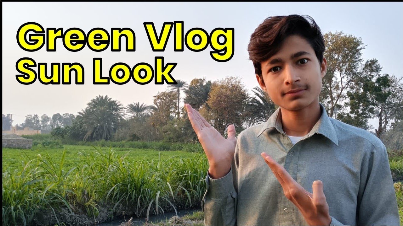 Green vlogs Sun look very nice 👍❤️