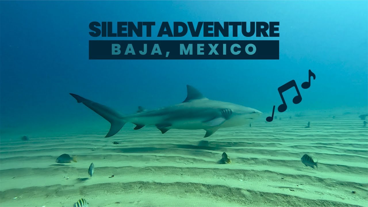 Scuba Diving in Some of the Paradises of Baja Mexico