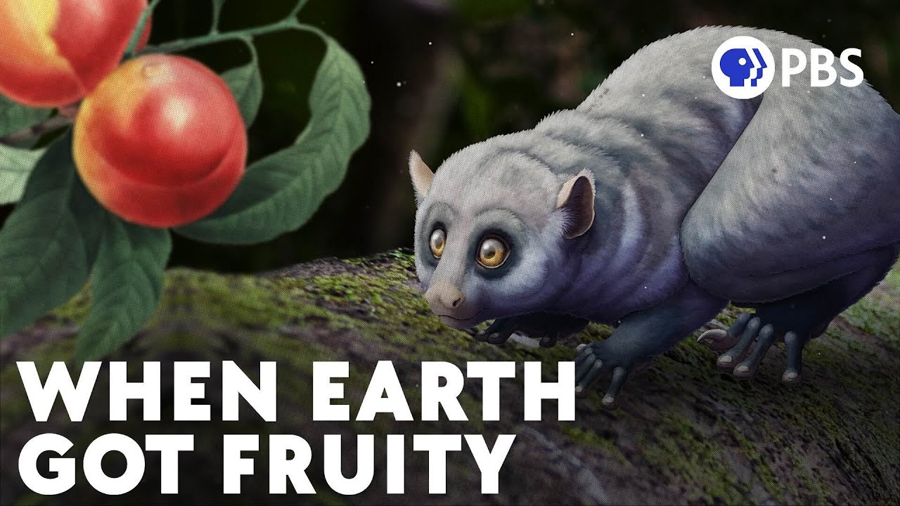 How Dinosaur Extinction Gave Us Fruit