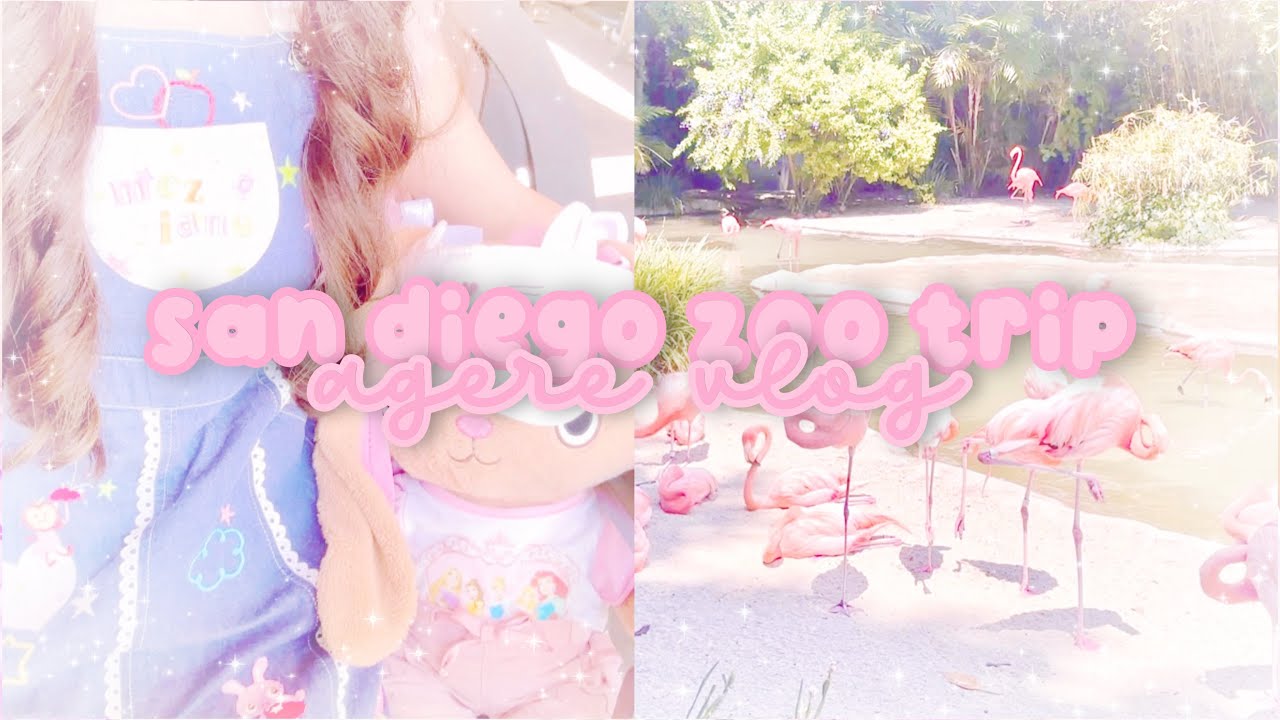san diego zoo trip ♡ sfw agere ♡ vlog