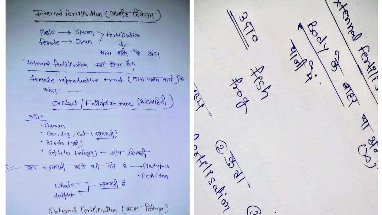 Internal और External fertilisation होता क्या है ll Science ll Neha ma'am 🎯🎯
