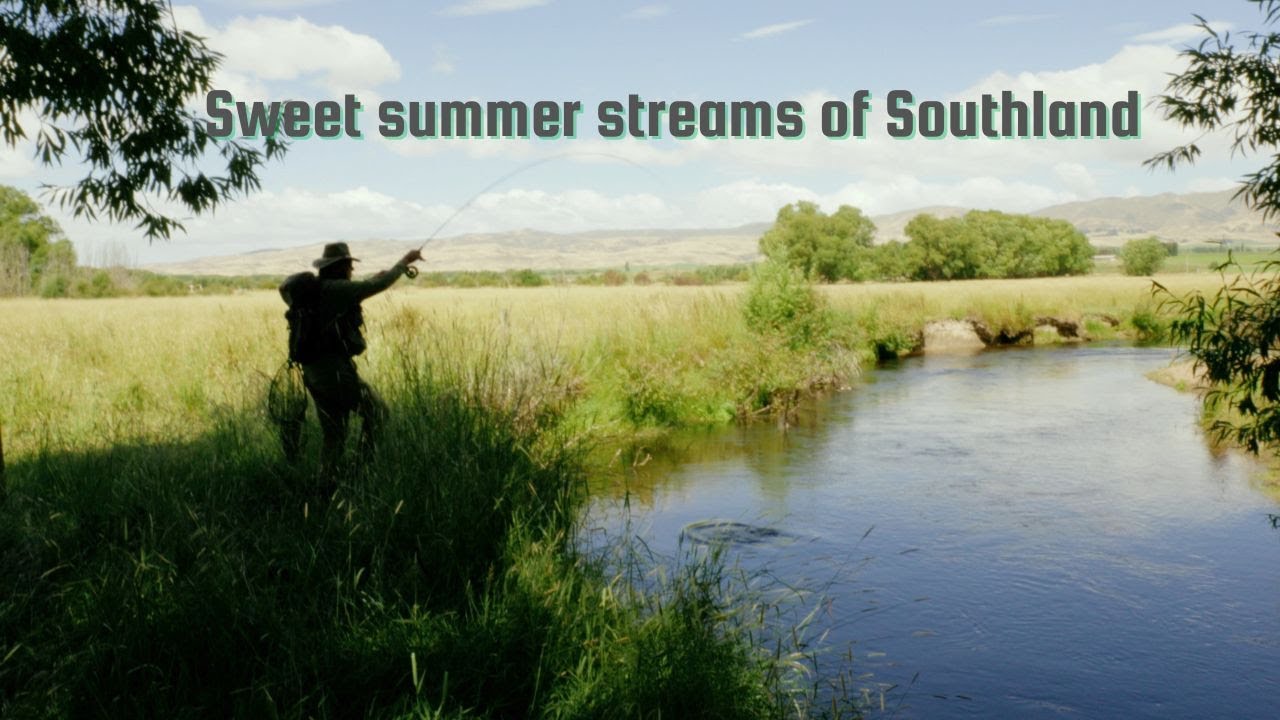 Sweet summer streams of Southland