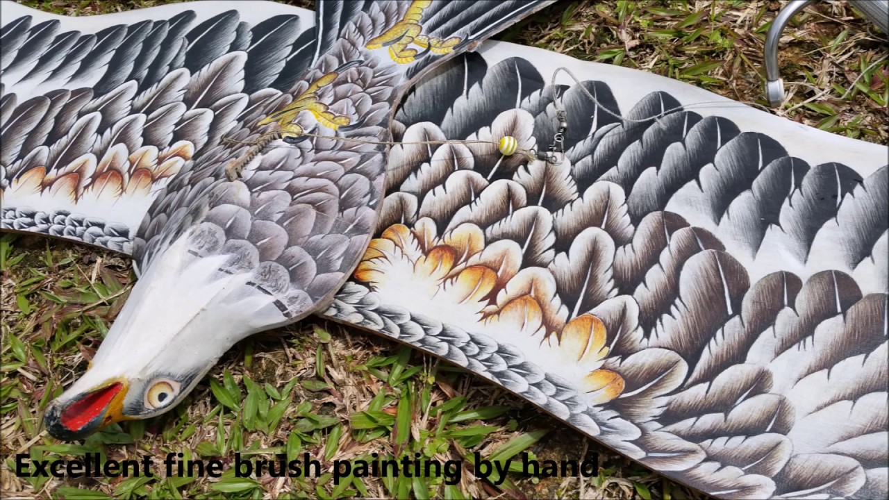 Close-in Low Lever Flying of  Qing Cheng Pan Ying Eagle Kite Video - 19