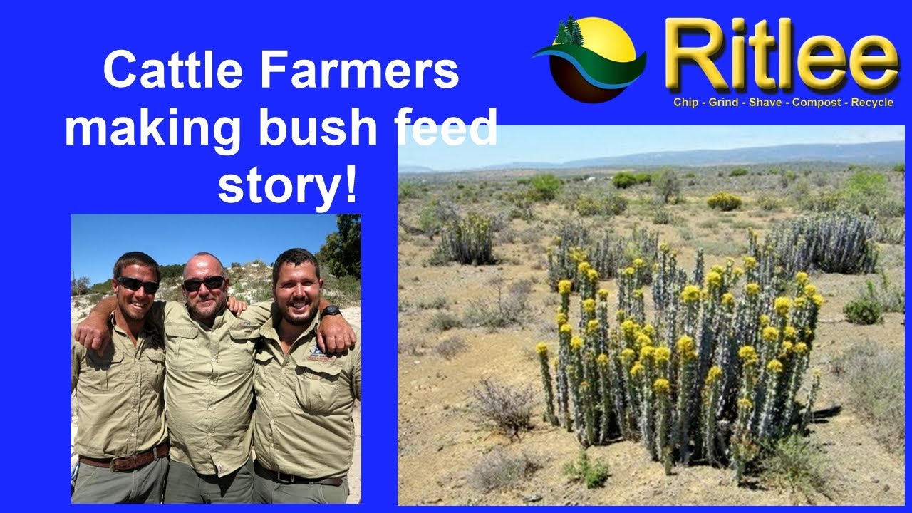 1 Ton Bush feed what used and how!!