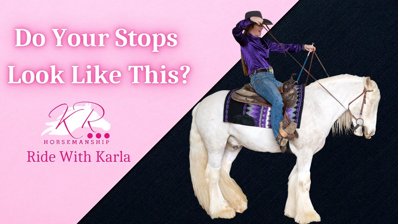 Struggling To Get Your Gypsy To Stop?