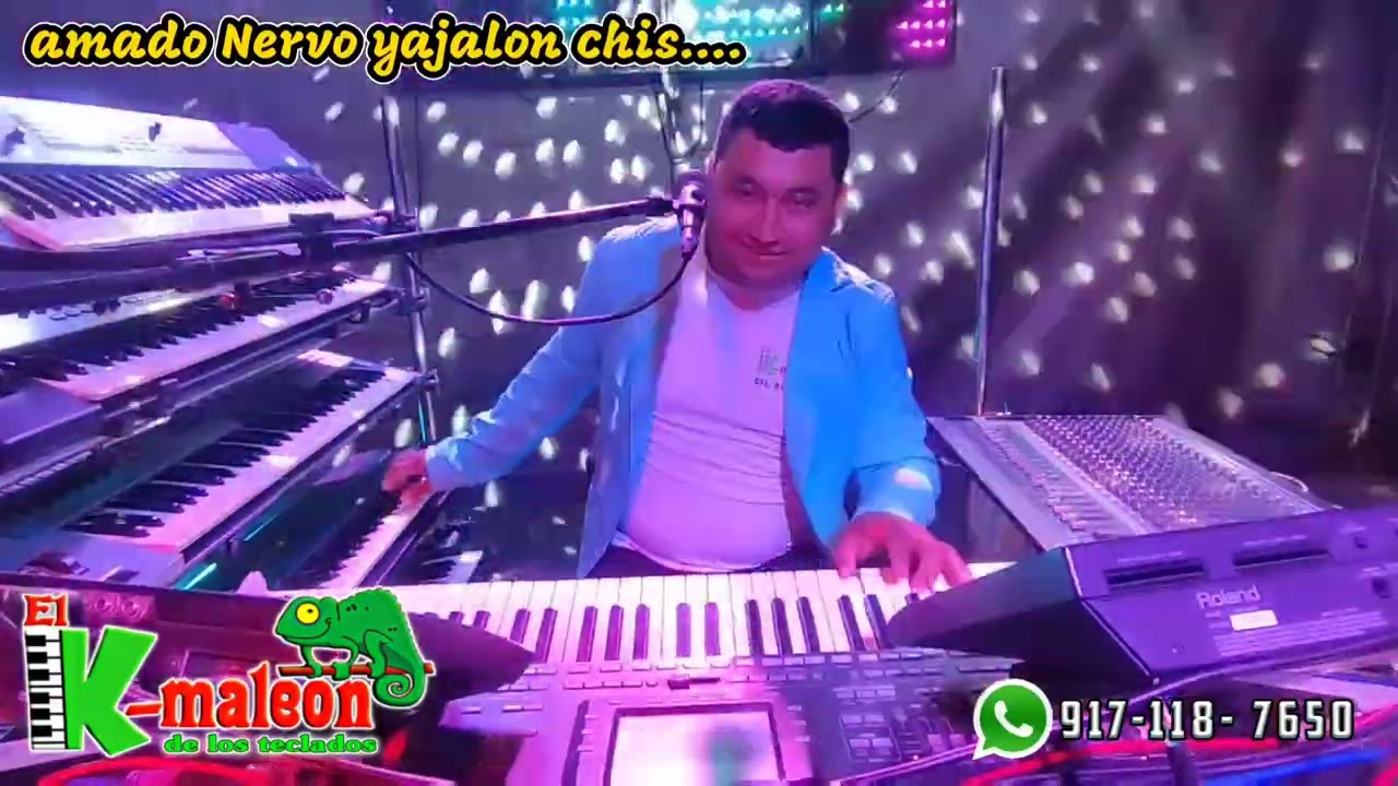 El camaleón de los teclados - la risueña & al son de amoltepec en vivo