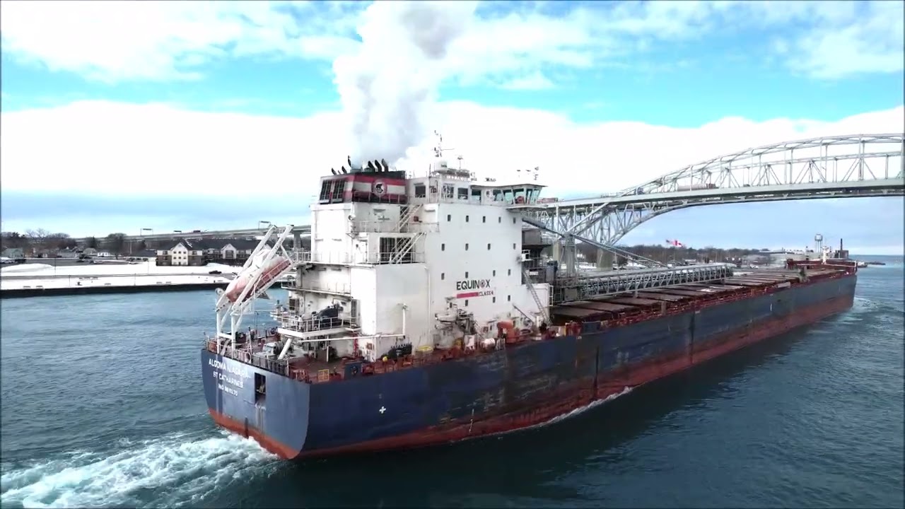 ALGOMA NIAGARA - Upbound Port Huron, Michigan 2-25-2026