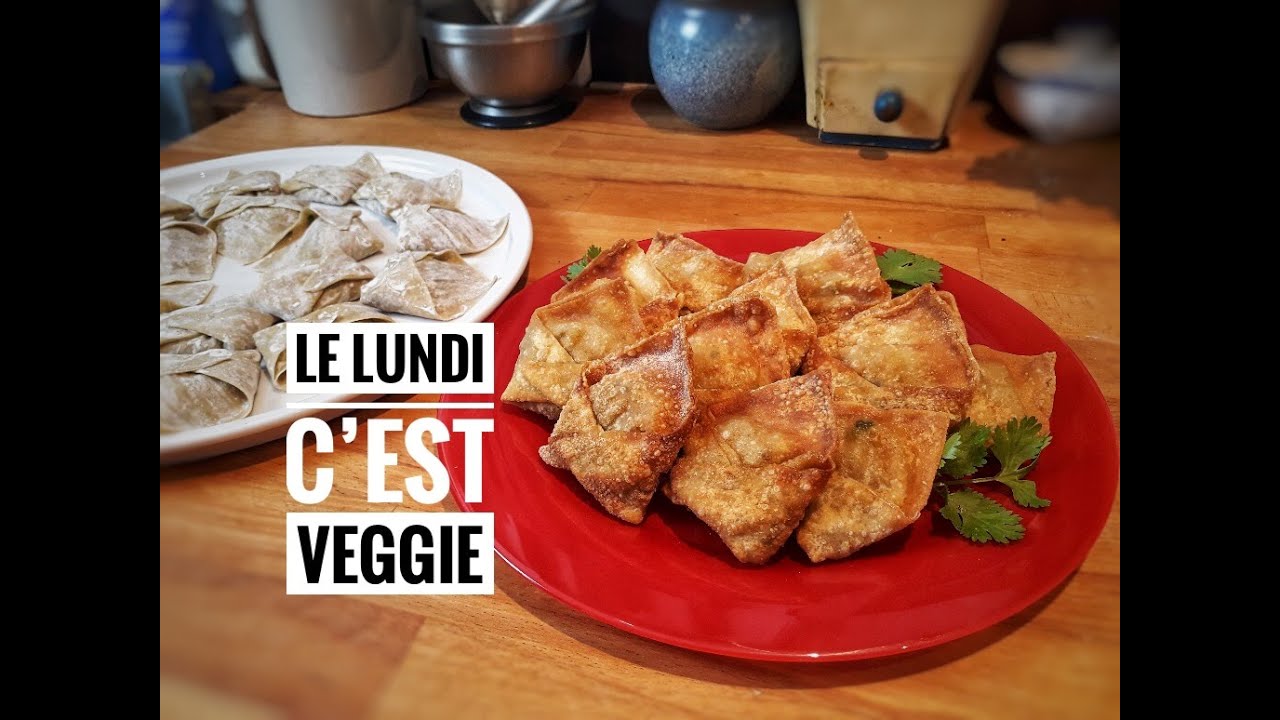 RAVIOLIS WONTON VÉGÉTARIENS🌱