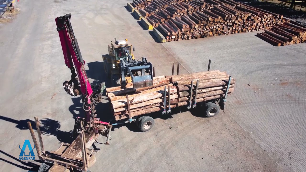 Agenpar - Consolidado de Rollizos Aserrables