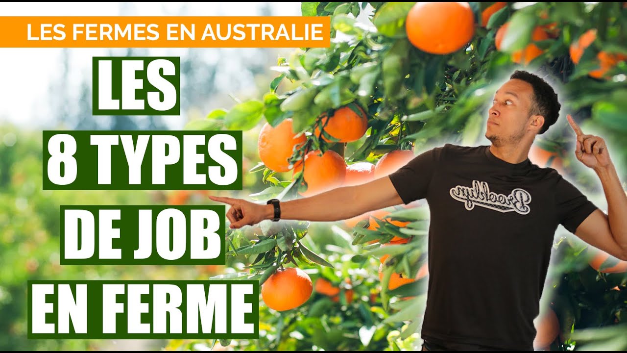FERME EN AUSTRALIE: 8 TYPES DE BOULOTS EN FERME (3/4)