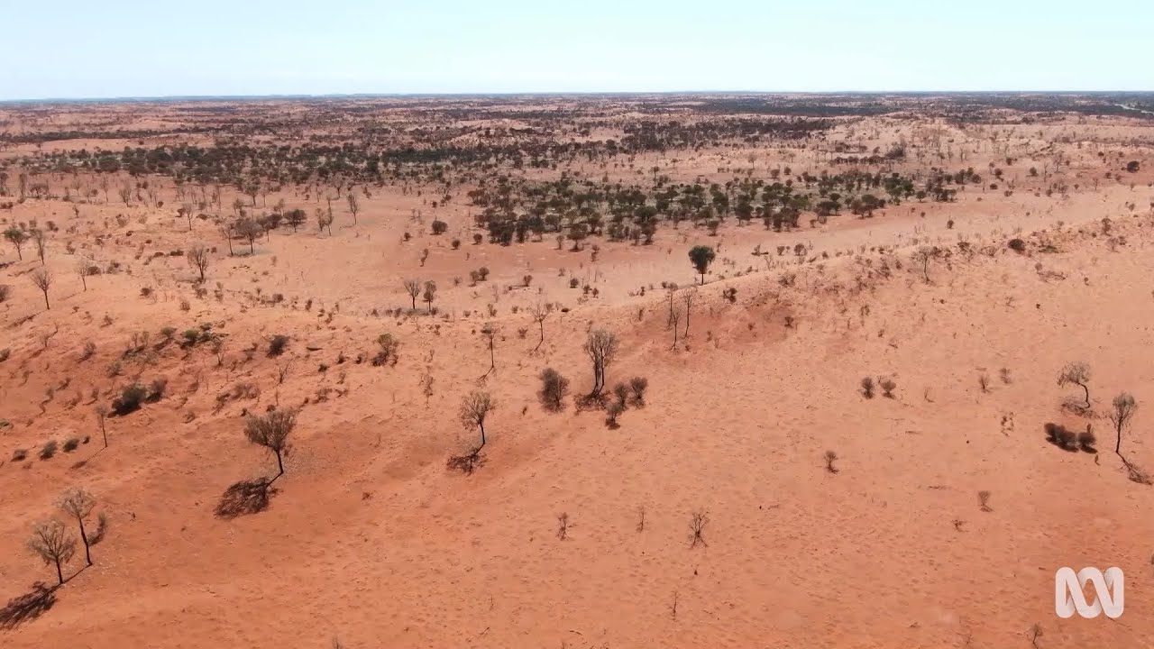 Desert and semi arid landscapes