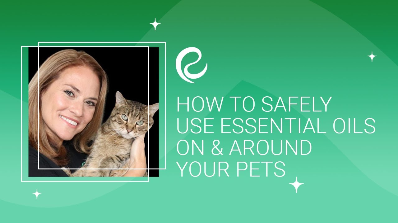 How to Safely Use Essential Oils On & Around Your Pets
