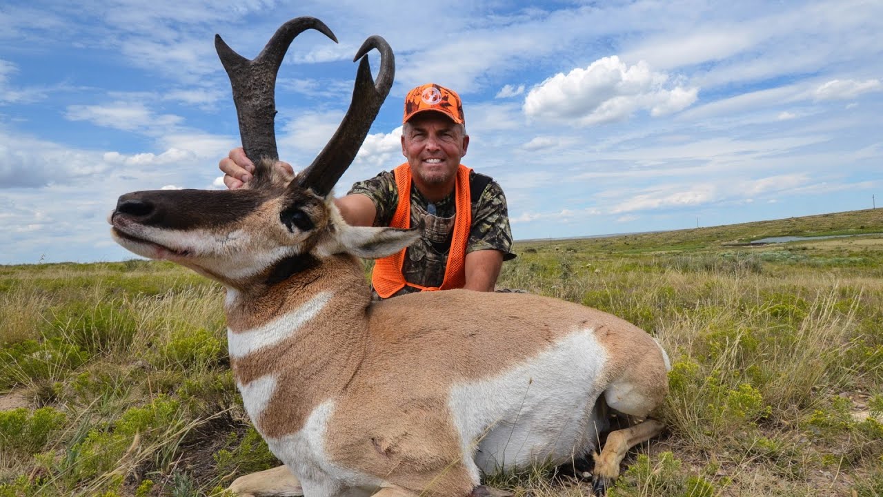 Panhandle Pronghorn
