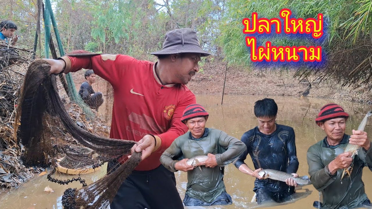 ช็อตเด็ด หว่านแห หาปลา ก้อยปลา กินข้าวป่า กินแซบๆ - ตกปลา หาอยู่หากิน