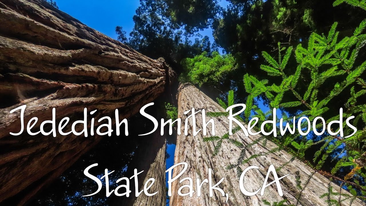 Jedediah Smith Redwoods State Park, California