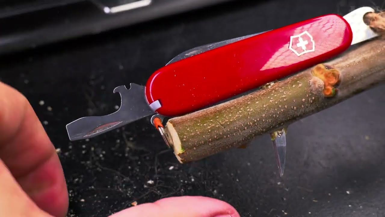 Victorinox Swiss Army Knife Useful Functions of the Awl in sak