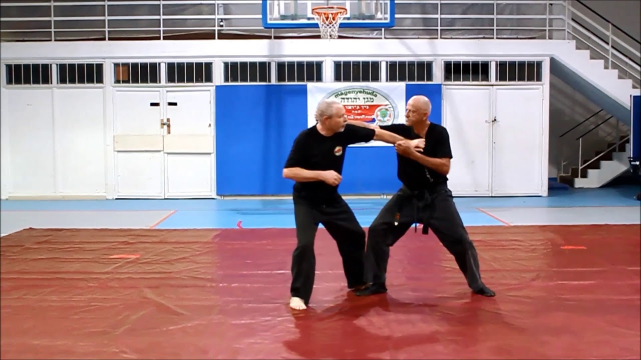 Dai Shihan Yakov Hazan-advanced Tai Jutsu