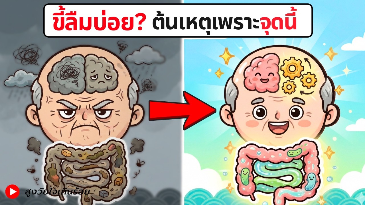 อายุ 60 ดูแลลำไส้ให้ดี สมองไม่เสื่อม เคล็ดลับอยู่ที่สิ่งนี้
