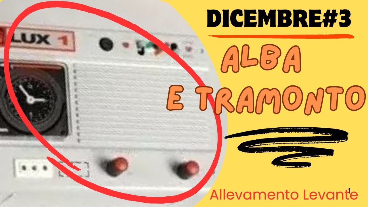 Funzionamento luce artificiale - Dicembre#3