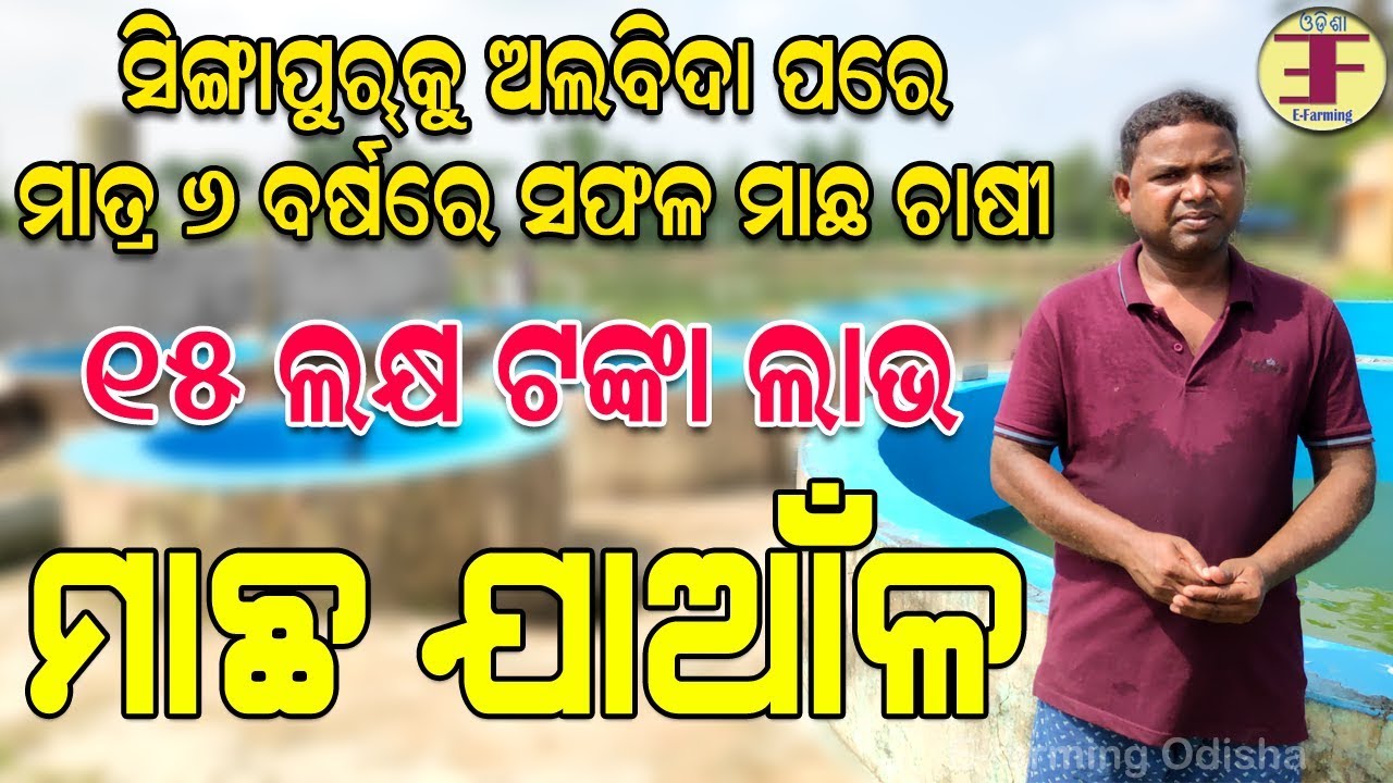 ମାଛ ଯାଆଁଳରୁ ଲକ୍ଷପତି (fish hatching farm in odisha).କେମିତି ଆରମ୍ଭ କରିବେ ।