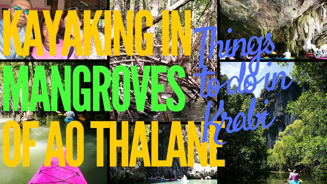 Top Things To Do In Krabi - Kayaking in Ao Thalane Mangrove Forest